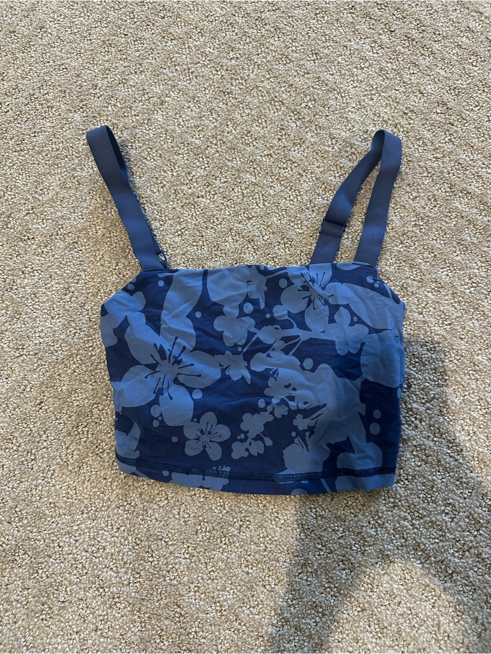 aerie Blue Floral Crop Tank Bra Top